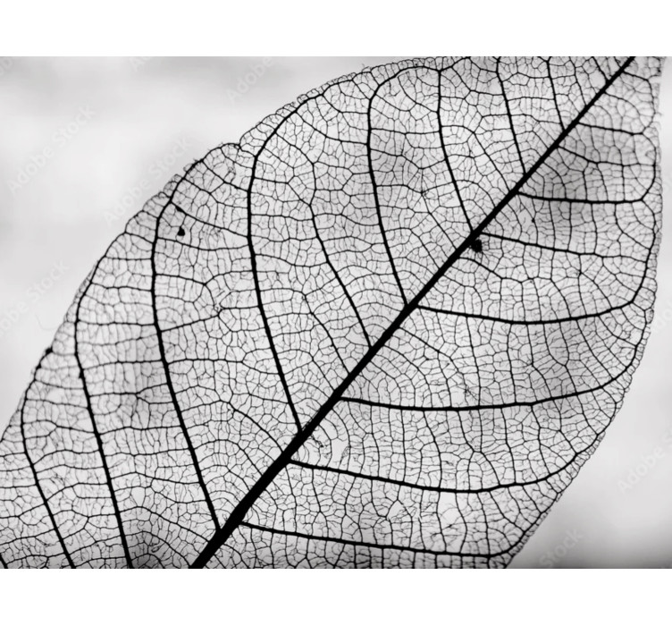 Стол круглый Cone Leaf5